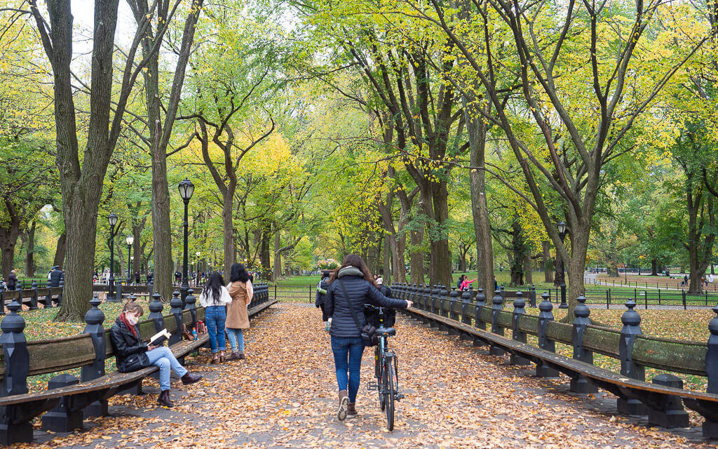 Dana pushing her rental bike through Central Park Manhattan