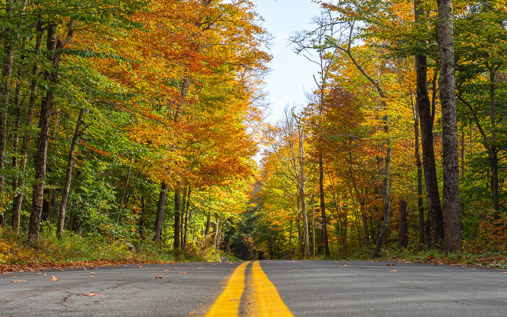 The roads during fall in upstate New York are vibrant with colorful leaves
