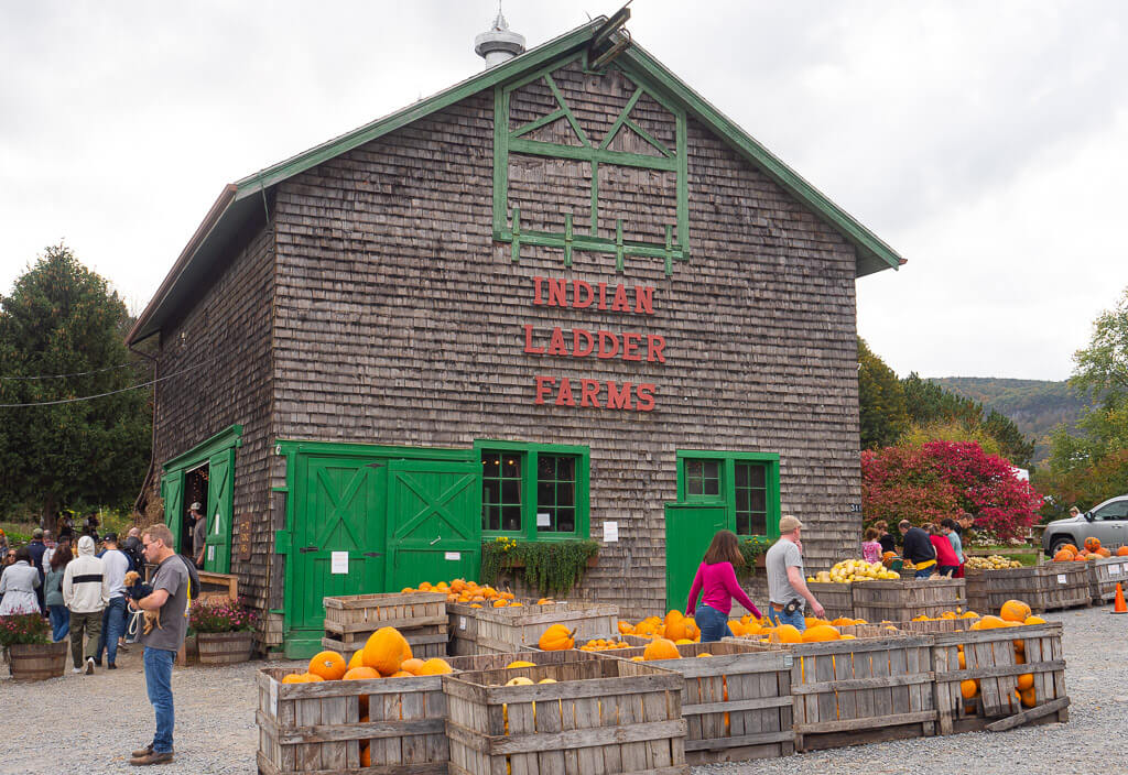 Visit Indian Ladder Farm in fall in upstate New York