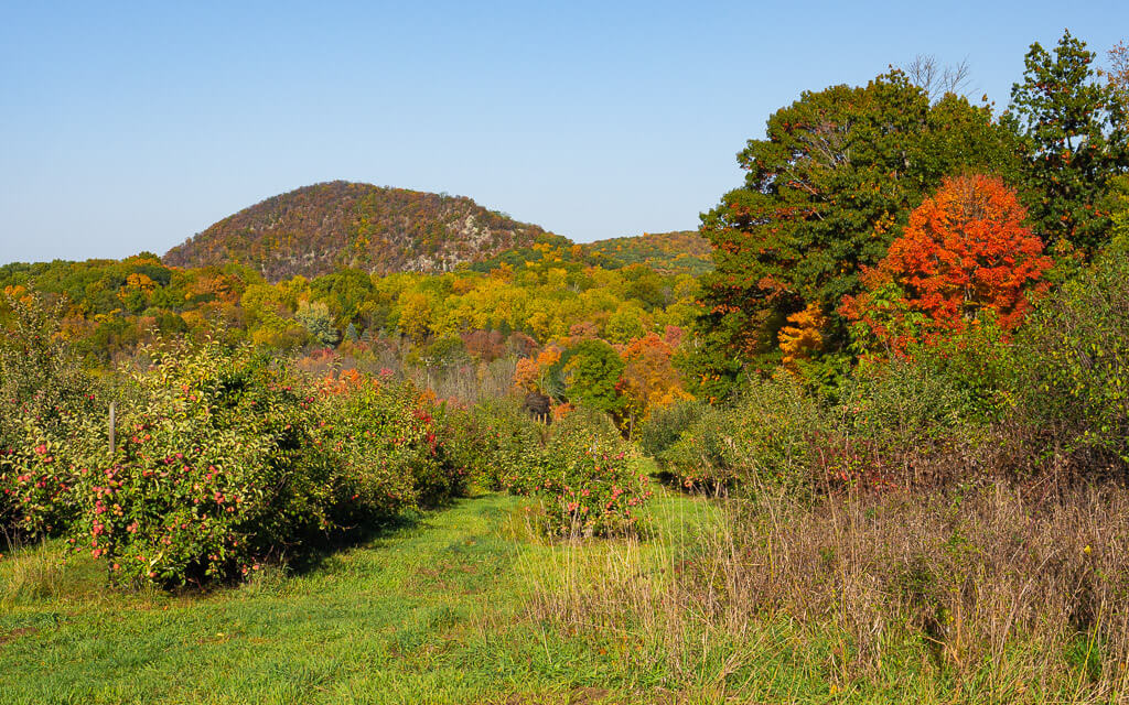 Going to an orchard is one of the best things to do in fall in upstate New York