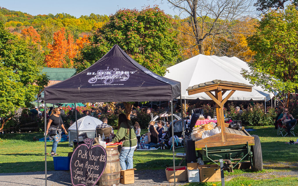 Pick your own apples in fall in upstate New York